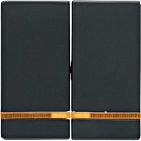 Клавіша Berker 2Х з лінзою, антрацит, Q. х (16276086)