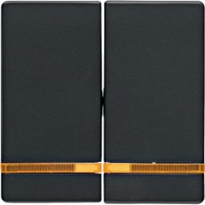 Клавиша Berker 2Х с линзой, антрацит, Q.х (16276086)