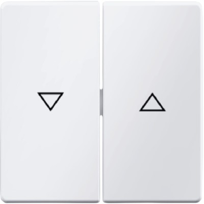 Клавіша Berker 2Х з знаком 