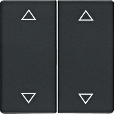 Клавиша Berker 2Х со знаками 