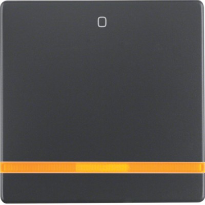 Клавіша Berker 1Х з лінзою з знаком 