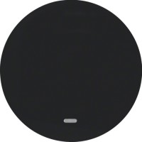 Клавиша Berker 1Х с линзой, черная, R.x (16212045)