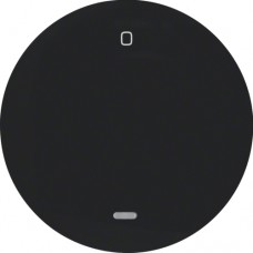 Клавиша Berker 1Х с линзой с знаком 