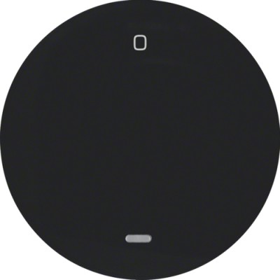 Клавиша Berker 1Х с линзой с знаком 