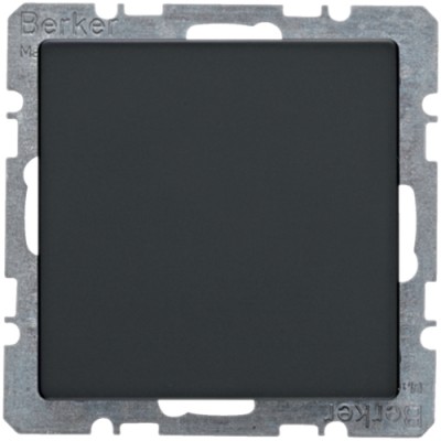 Заглушка Berker з центральною панеллю, антрацит, Q. х (6710096086)