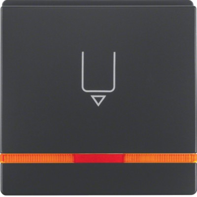 Накладка Berker для карточного выключателя для отелей с линзой, антрацит, Q.х (16406086)