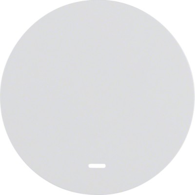 Клавиша Berker 1Х с линзой, пол.белизна, R.x (16212089)