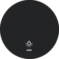 Клавиша Berker 1Х с линзой с знаком 