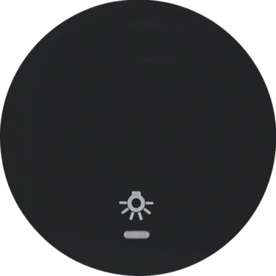 Клавиша Berker 1Х с линзой с знаком 