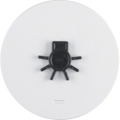 Клавиша Berker 1Х с линзой и рельефным знаком знаком 