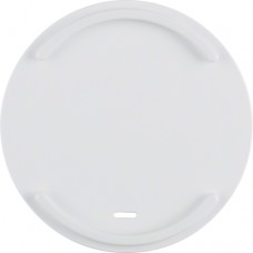 Клавиша Berker с насечкой для губного стержня, пол.белизна, R.x (16612049)