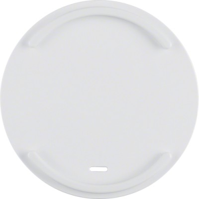 Клавиша Berker с насечкой для губного стержня, пол.белизна, R.x (16612049)