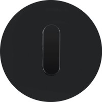 Центральна панель выключателя с ручкой Berker, стекло/черный, R.Classic (10012055)