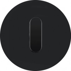 Центральна панель выключателя с ручкой Berker, стекло/черный, R.Classic (10012055)