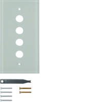 Стеклянная накладка Berker, прозрачная, 4-места TS (1394)