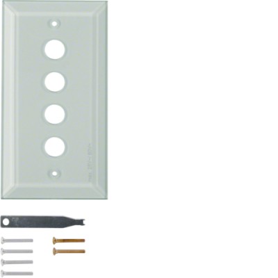 Стеклянная накладка Berker, прозрачная, 4-места TS (1341)