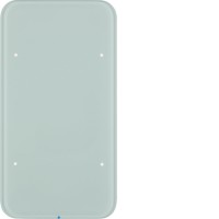 Стеклянный сенсор Berker 2-канал., 