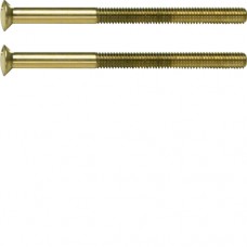 Гвинт Berker спеціальний 2P M3.5х50мм, колір: золотий TS (189512)