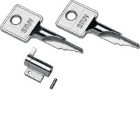 Замок Hager для щитів серії 30 V, комплект 2 ключа (VZ313)