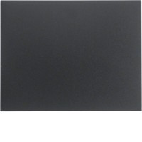 Клавіша Berker 1Х, антрацит, K. 1 (14057006)