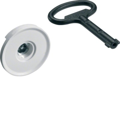 Замок Hager для щитов Univers, 3мм, двойная бородка (FZ449N)