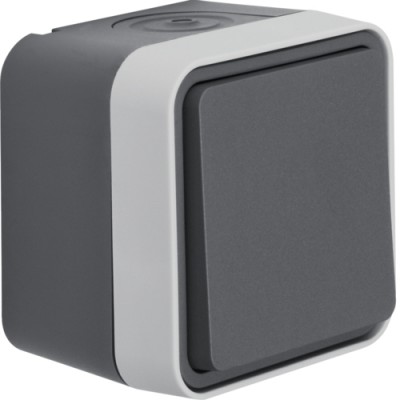 Кнопка Berker IP55, серая, 10АX/250В W.1 (50453525)