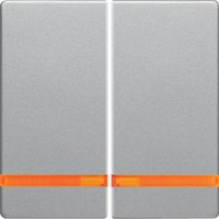 Клавиша Berker 2Х с линзой, алюминий, Q.х (16276084)