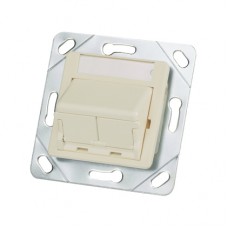 CFPAGS2SAWY Вставка 50*50 на 2 модуля наклонная с крышкой от пыли