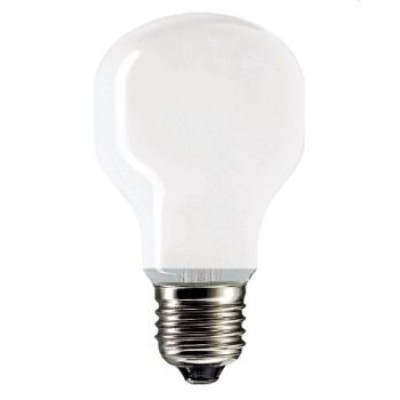 Лампа PHILIPS SOFT 60W E27 230V T55 WH софт обычная (922800344279)