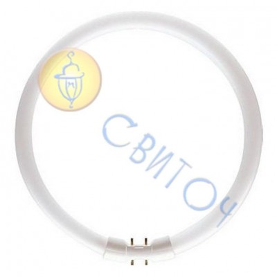 Люминесцентная лампа PHILIPS TL 5С 60W/8402GX13 кольцевая (927966084013)