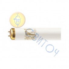 PHILIPS CLEO Performance 100W лампа (87115006833640)