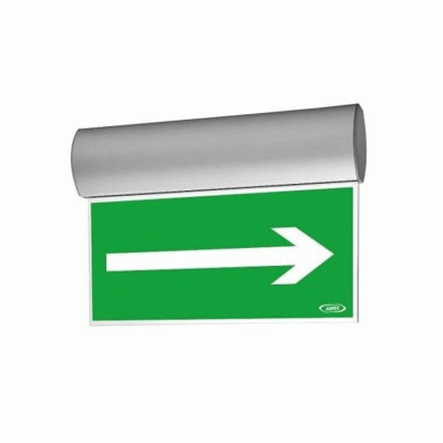 TWINS TW/1/С/3/SA/X/SR LED 3h IP41 авар. светильник AWEX