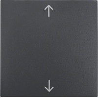 Клавиша Berker 1Х с знаком 