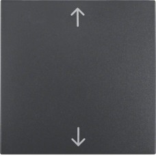 Клавиша Berker 1Х с знаком 