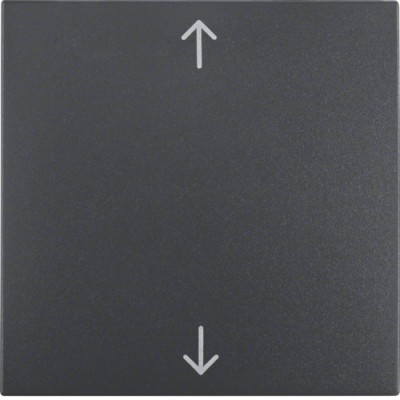 Клавиша Berker 1Х с знаком 